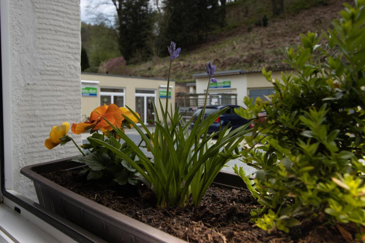 Pension Hoenel-Hof Bad Schandau Exterior photo